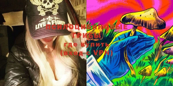 мдпв Балахна