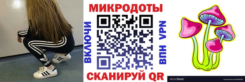 Псилоцибиновые грибы Psilocybine cubensis  Большой Камень 